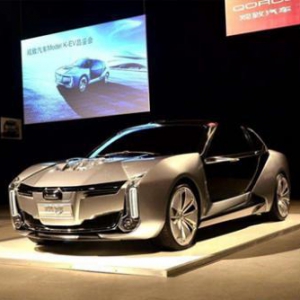 想要成为行业典范？梦还是要做，但领克和观致的路还很长！