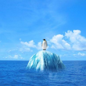 O-Quick为环保贡献一份力