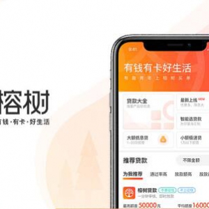 榕树平台：从网络化到智能化，网贷服务进化论