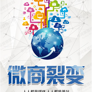 WS起盘卖不出货？找天津ws代运营事事完美