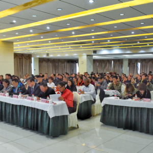高峰论坛助力阿勒泰冰雪旅游走向世界