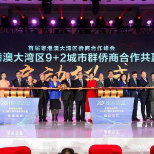 首届粤港澳大湾区侨商合作峰会在深举行