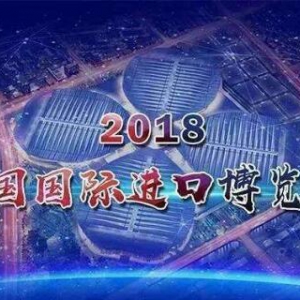 首届进博会开幕 苏宁金融跨境支付助力企业迎接新商机