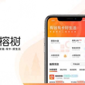 榕树平台：“风控前置”如何助力线上金融新商业发展?