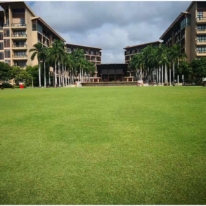 中乐汇执行主席莅临三亚对第五届全球盛典场地进行考察