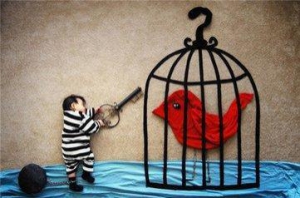 中国儿童用品网喜迎双11电商购物节，平台面向全国招商