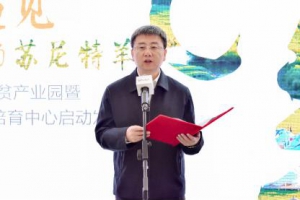 京东云上草原，苏尼特羊鲜天下