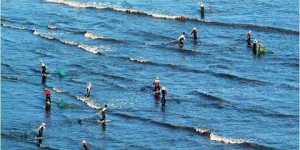 白培友创建中国水产网，打造现代水产发展新模式