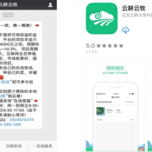 云耕云牧小喇叭：小云教你来买羊，赚收益