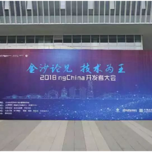 2018 ngChina开发者大会在杭州顺利举办