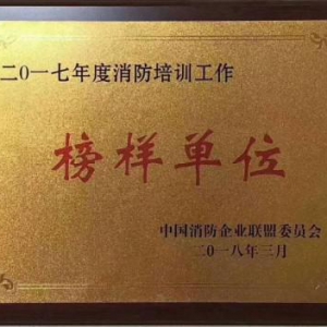 派尔德——圆消防工程师之梦