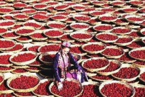 新疆特产商城网，双十二-年终大促