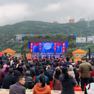 十大网红相聚 数十媒体云集：秭归脐橙又火了