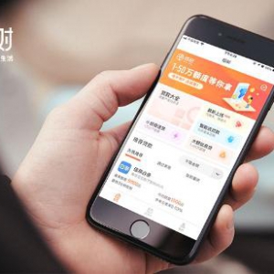 榕树平台：风口落幕，长出翅膀才能飞得更远