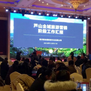 金猪闹新春 元旦欢乐行