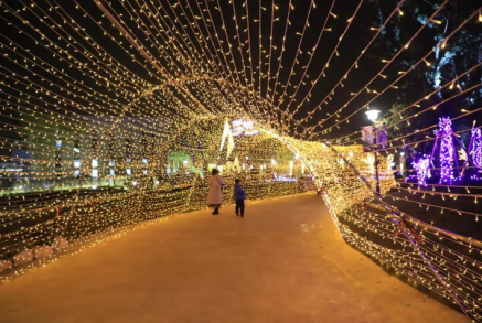 梦幻冰雪秘境狂欢 上海世茂精灵之城主题乐园演绎圣诞别样精彩-焦点中国网