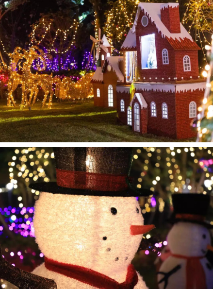 梦幻冰雪秘境狂欢 上海世茂精灵之城主题乐园演绎圣诞别样精彩-焦点中国网