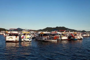 这本书让“女王”刘嘉玲回首起香港电影往事