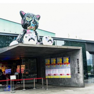 解读今冬成都最热沉浸式艺术体验大展