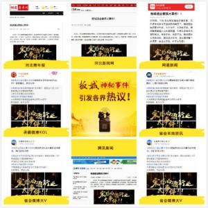 板城龙印，一飞冲天，开创白酒营销新高度！