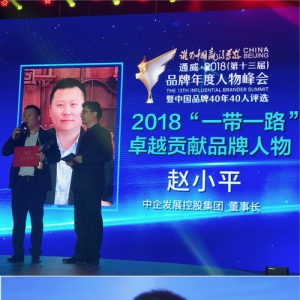 中企发展控股集团荣获“一带一路卓越贡献品牌”奖