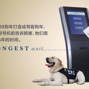 内容营销升级 专注品牌故事创造市场优势