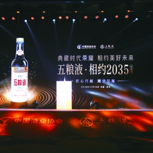 五粮液 用40年陈酿精华相约见证2035盛世中国