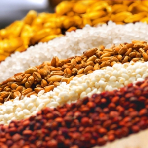 五粮液：一壶美酒承五行