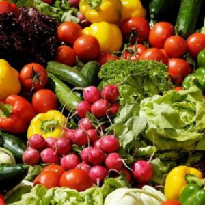 客如云助力九龙寨农家私房菜餐厅开业3天会员储值额超6万元