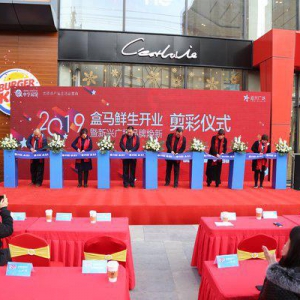 盒马鲜生开业仪式暨新兴广场品牌焕新盛大启幕