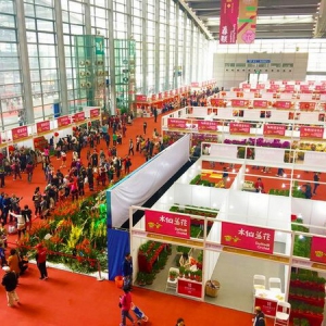 深圳迎春花市今日开幕 “护花使者”海钜信达义工队在行动