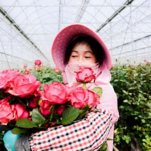 情人节消费新趋势：聚划算包月鲜花超四成消费者来自下沉市场