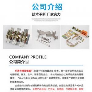 铜接地线铜配件厂家直销选温州精强电器厂