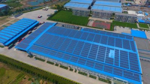 蒙牛：贯彻总书记重要讲话精神 引领乳业绿色发展