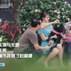 长租长住 城市幸福感的新增长点