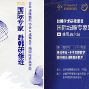 世界线雕整形协会成功举办2019国际专家赴韩研修项目