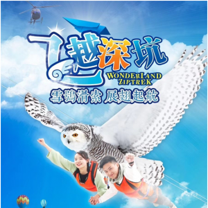 飞越深坑俯瞰建筑奇迹 上海首家自动往返式滑索开启飞行