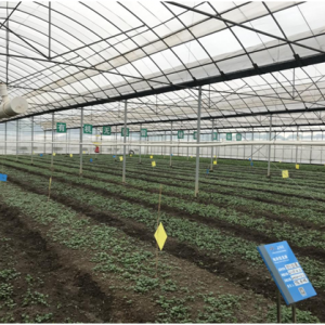 上膳源：有机需要被公平的认识