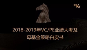 2018-2019年VC/PE业绩大考及母基金策略白皮书