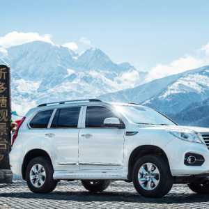 车界“金棕榈奖”花落谁家，哈弗H9成为绝对主角