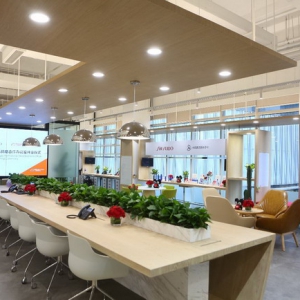 电商业务促资生堂中国一季度业绩大涨 天猫发新品59秒售罄