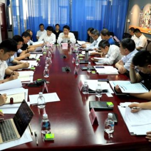 山东紫海盛世文旅健康产业集群项目部专家组成立会议在京召开