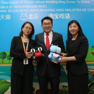 eWTP助力马来西亚“国宝”出口 天猫618首发整冻猫山王榴莲