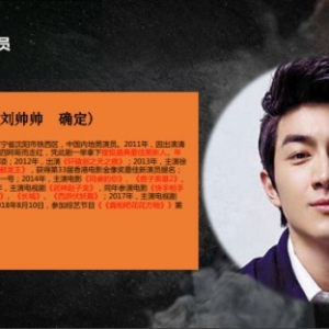 《90雄兵》分析投资什么类型的电影才能确保收益？