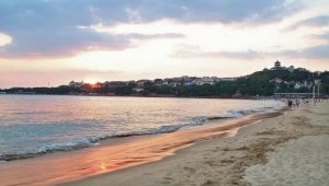 青岛看海打卡孙大力， 唯有美景和美食不可辜负