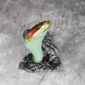 玉管家|和田羊脂玉沙枣青，给你不一样的和田诱惑