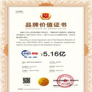 全球行养车品牌价值超过5亿元人民币