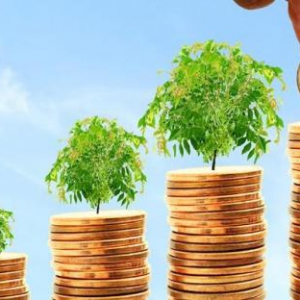 探索科技创新下的共赢模式 榕树贷款与金融机构纵深合作