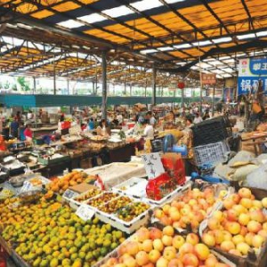 关乎2亿人就业 榕树贷款“科技+金融”合力纾困个体户