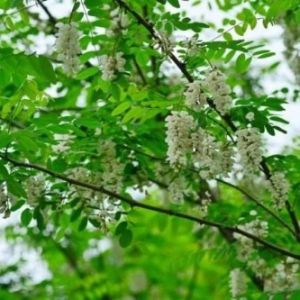 快乐蒙养家庭教育,怎样解决孩子早恋问题